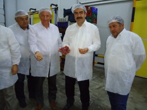 AK Parti’li Erdem, Dondurulmuş Gıda Tesisi'ni Ziyaret Etti