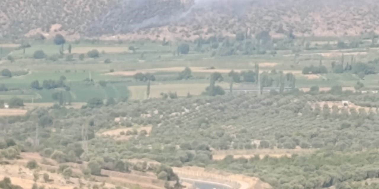 Nazilli’de makilik alanda yangın çıktı
