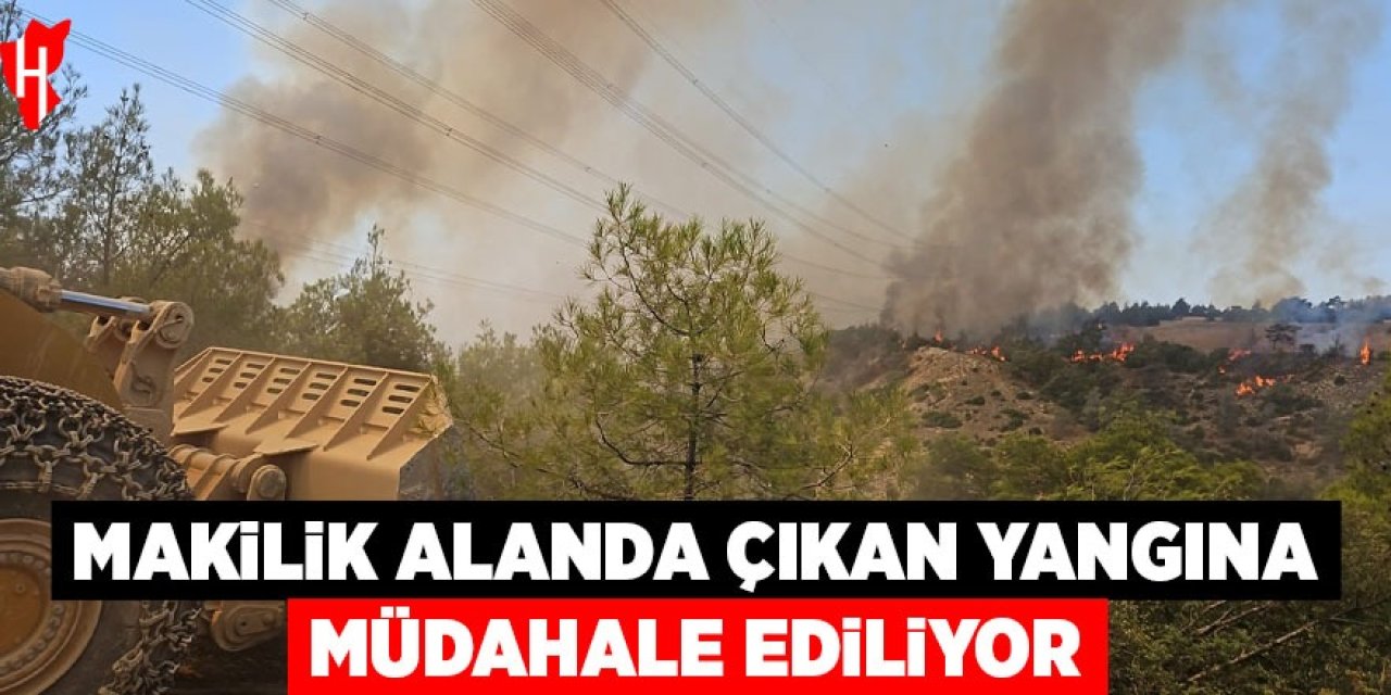 Makilik alanda çıkan yangına müdahale ediliyor