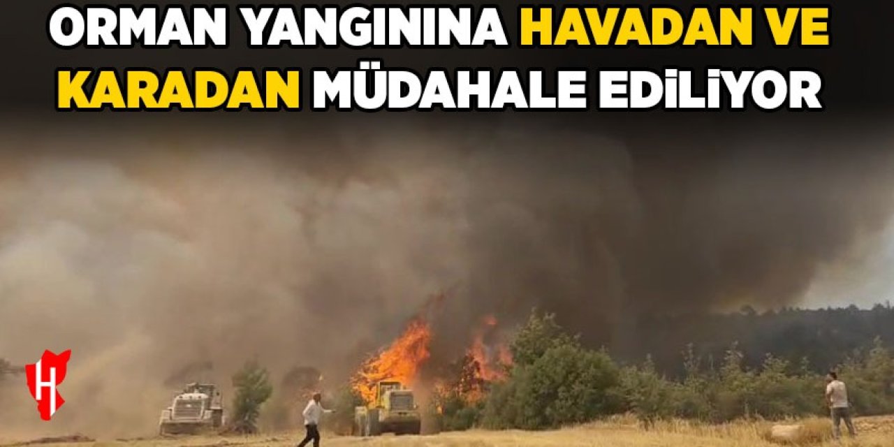 Orman yangınına havadan ve karadan müdahale ediliyor