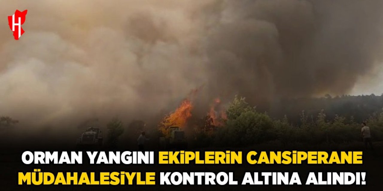 Orman yangını ekiplerin cansiperane müdahalesiyle kontrol altına alındı