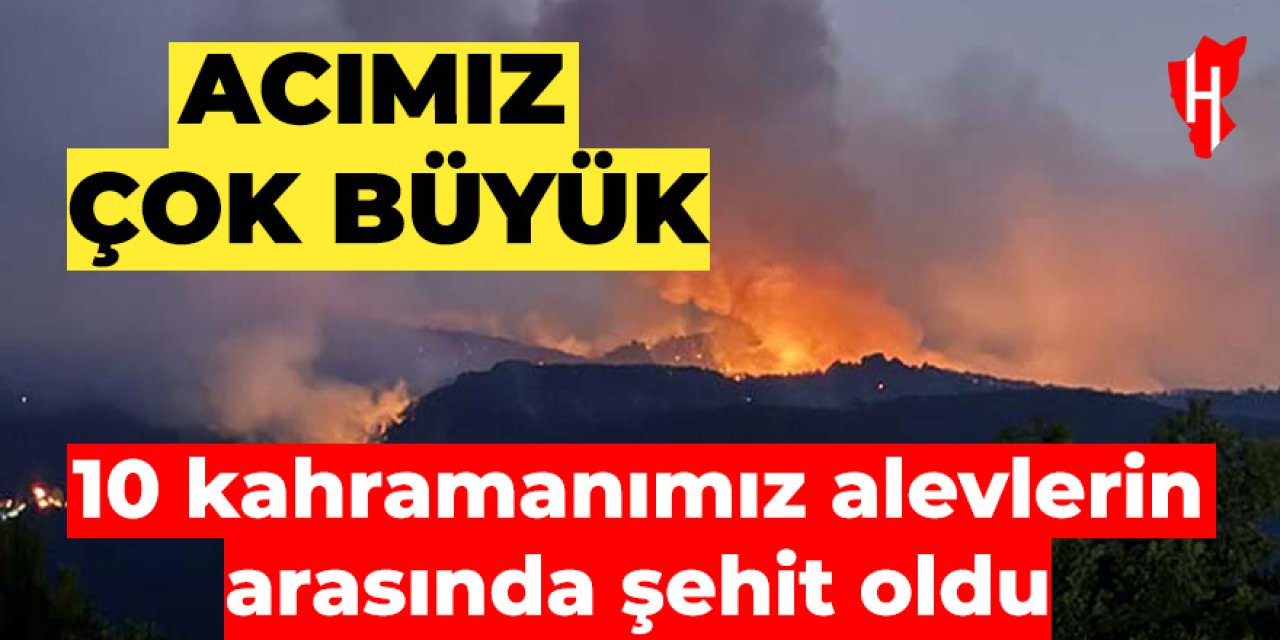 Milletçe ağlıyoruz: 10 orman işçisi şehit oldu