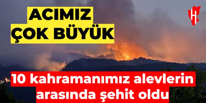 Milletçe ağlıyoruz: 10 orman işçisi şehit oldu