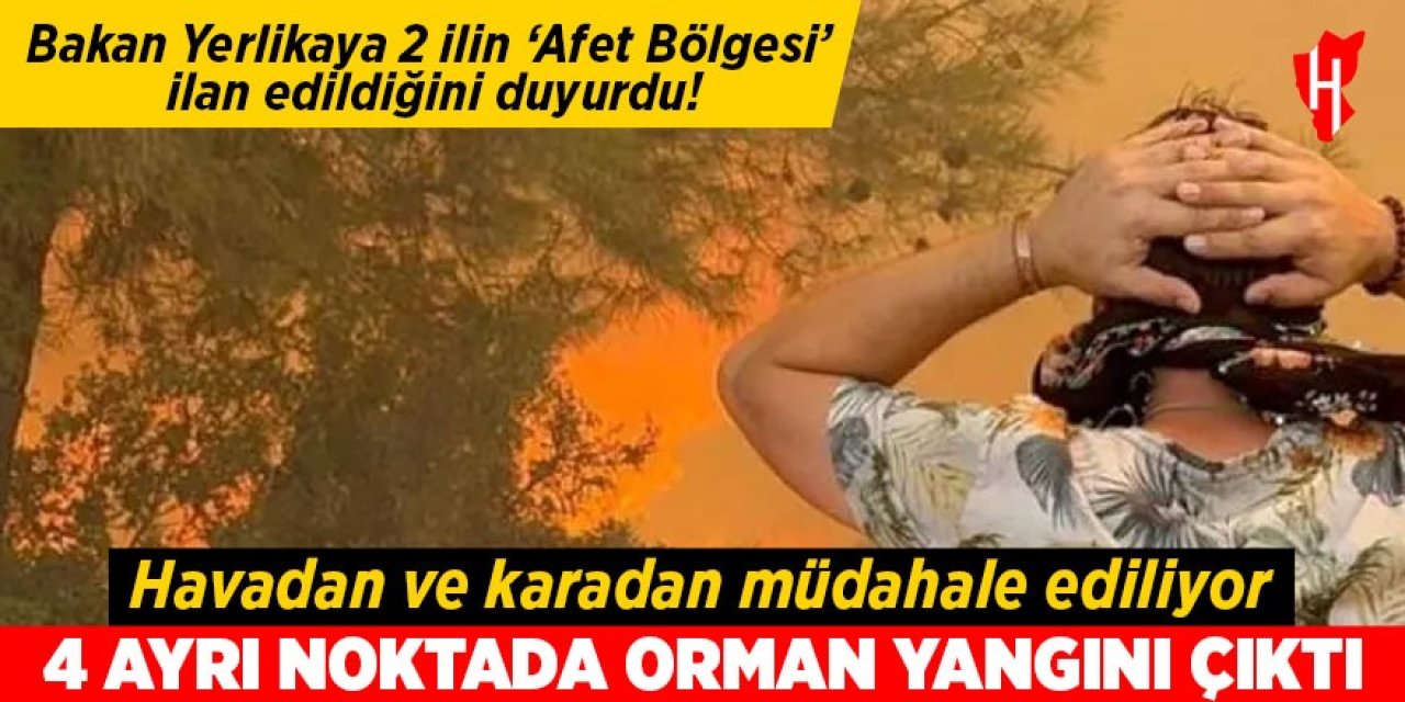 4 ayrı noktada orman yangını çıktı! 2 il 'Afet Bölgesi' ilan edildi