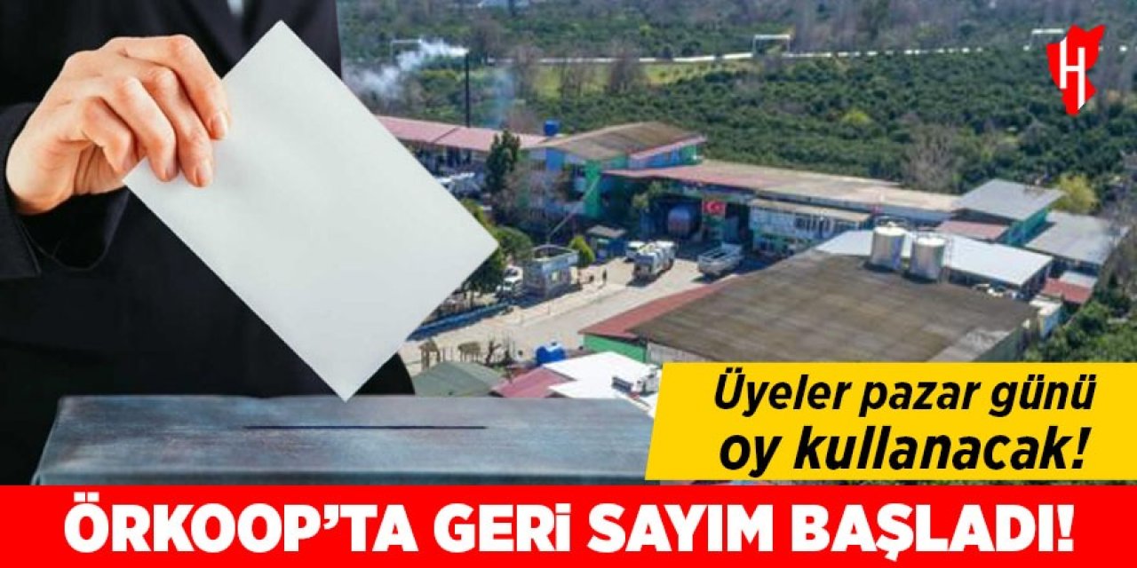 Örkoop'ta geri sayım başladı! Bu pazar sandığa gidiliyor!