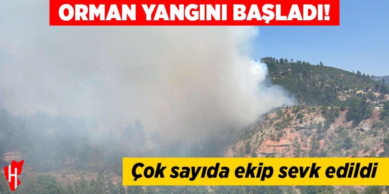 Orman yangını başladı!
