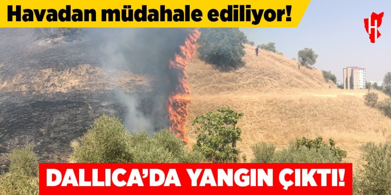 Dallıca’da yangın çıktı!