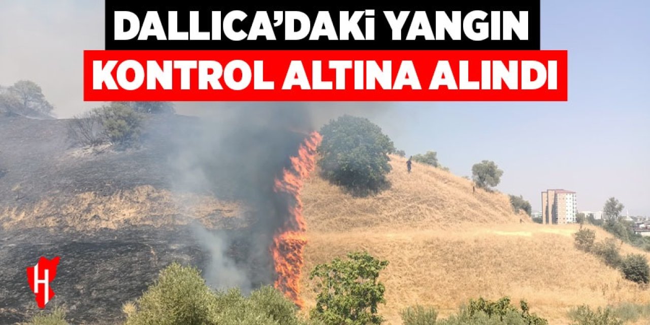 Dallıca'daki yangın kontrol altına alındı
