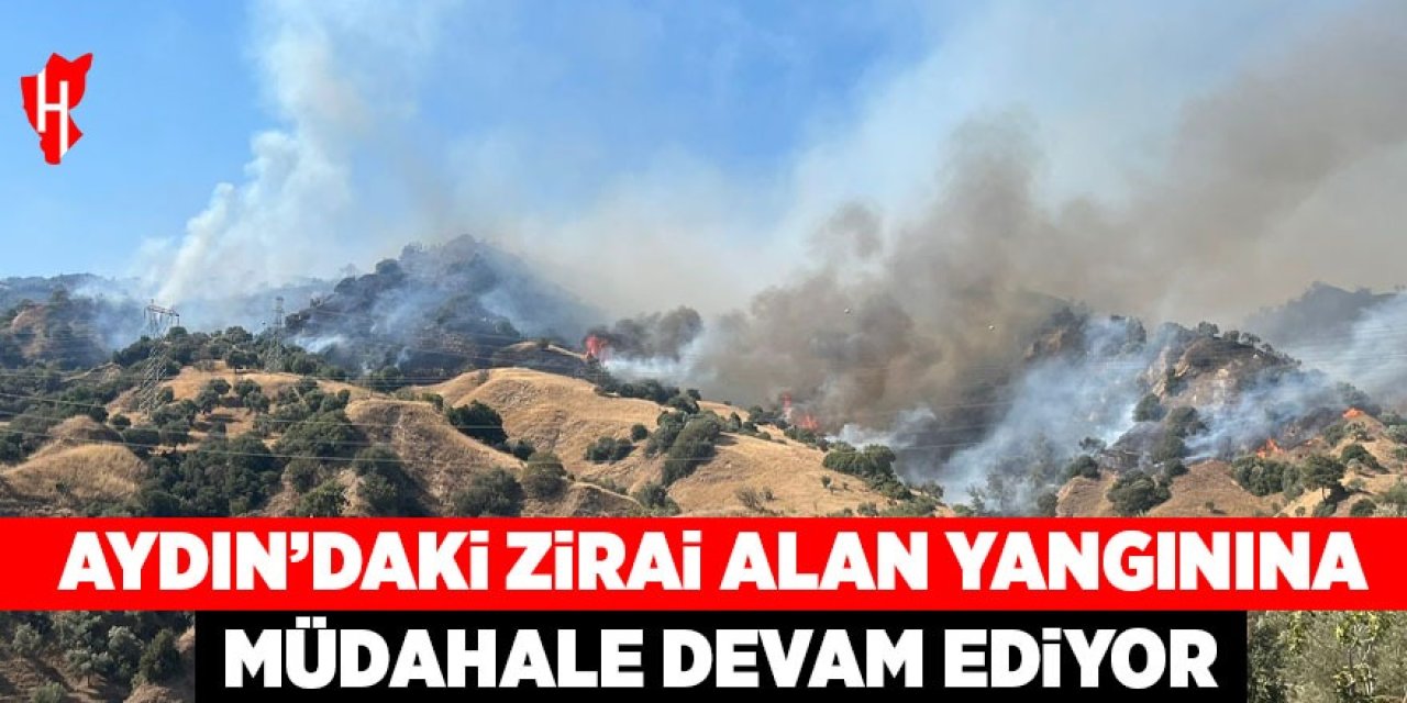 Aydın'daki zirai alan yangınına müdahale devam ediyor