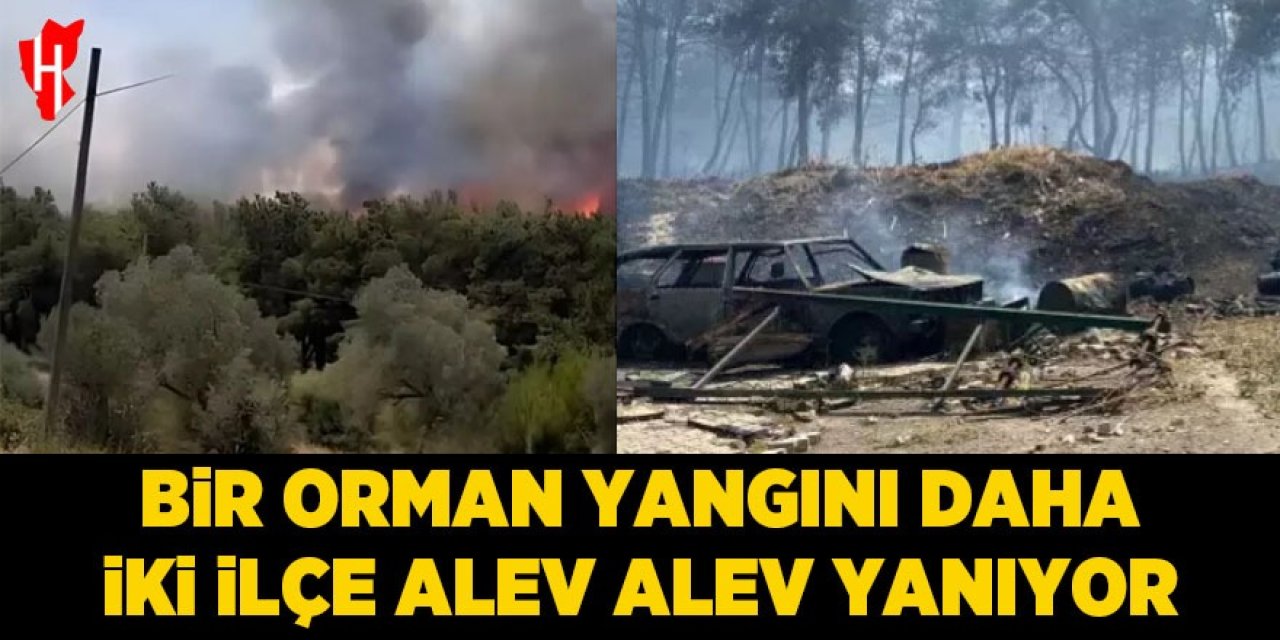 Bir orman yangını daha: İki ilçe alev alev yanıyor!