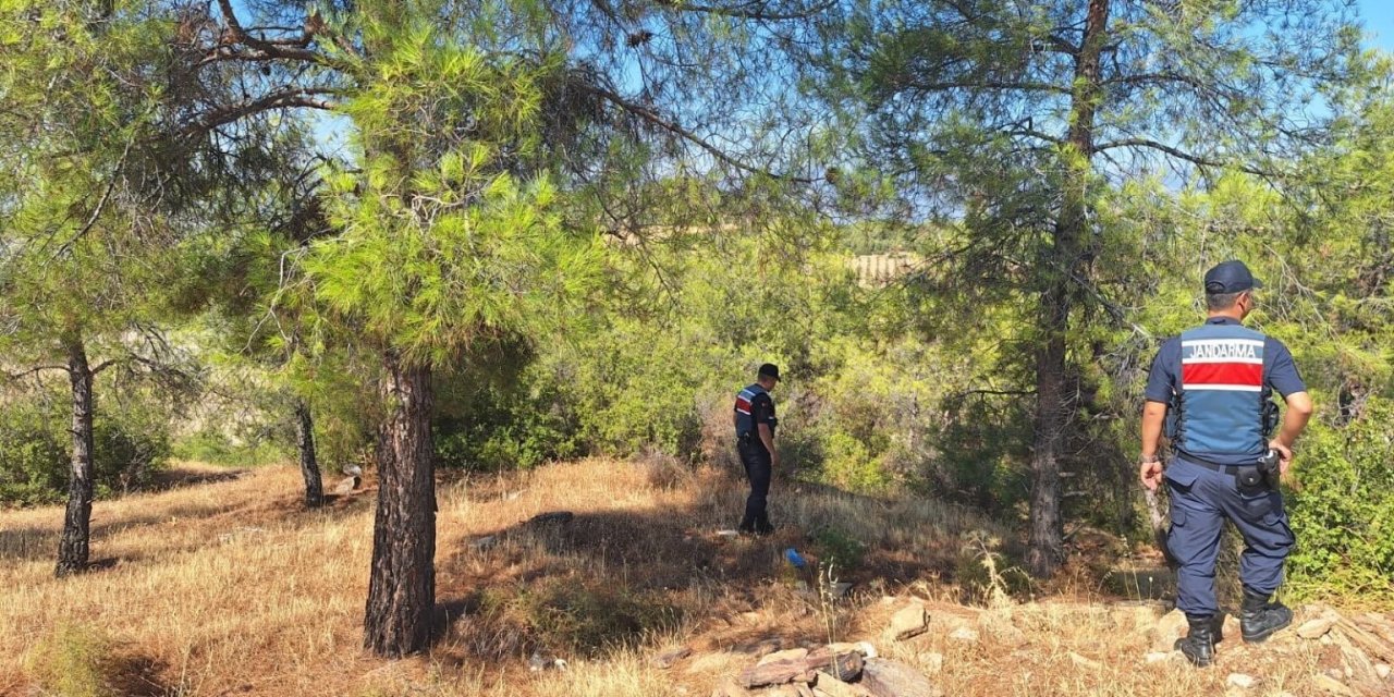 Ormanlara giren ve ateş yakanlara ceza yağdı