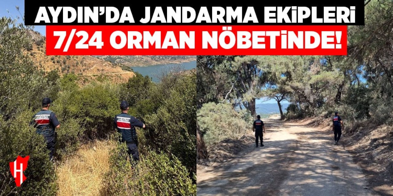 Aydın'da jandarma ekipleri havadan ve karadan ormanları denetliyor