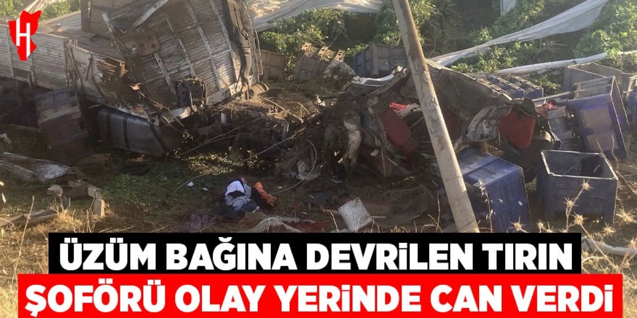 Üzüm bağına devrilen tırın şoförü olay yerinde can verdi