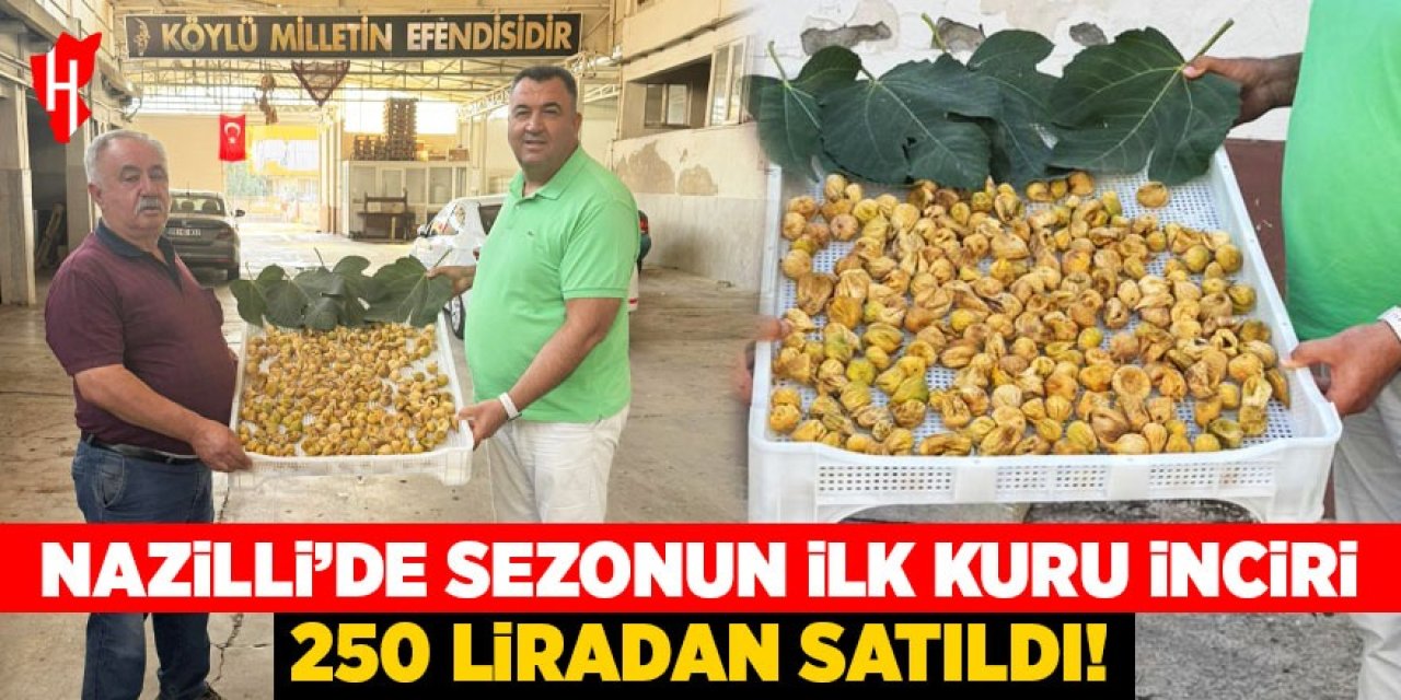 Nazilli’de sezonun ilk kuru incirleri 250 liradan satıldı