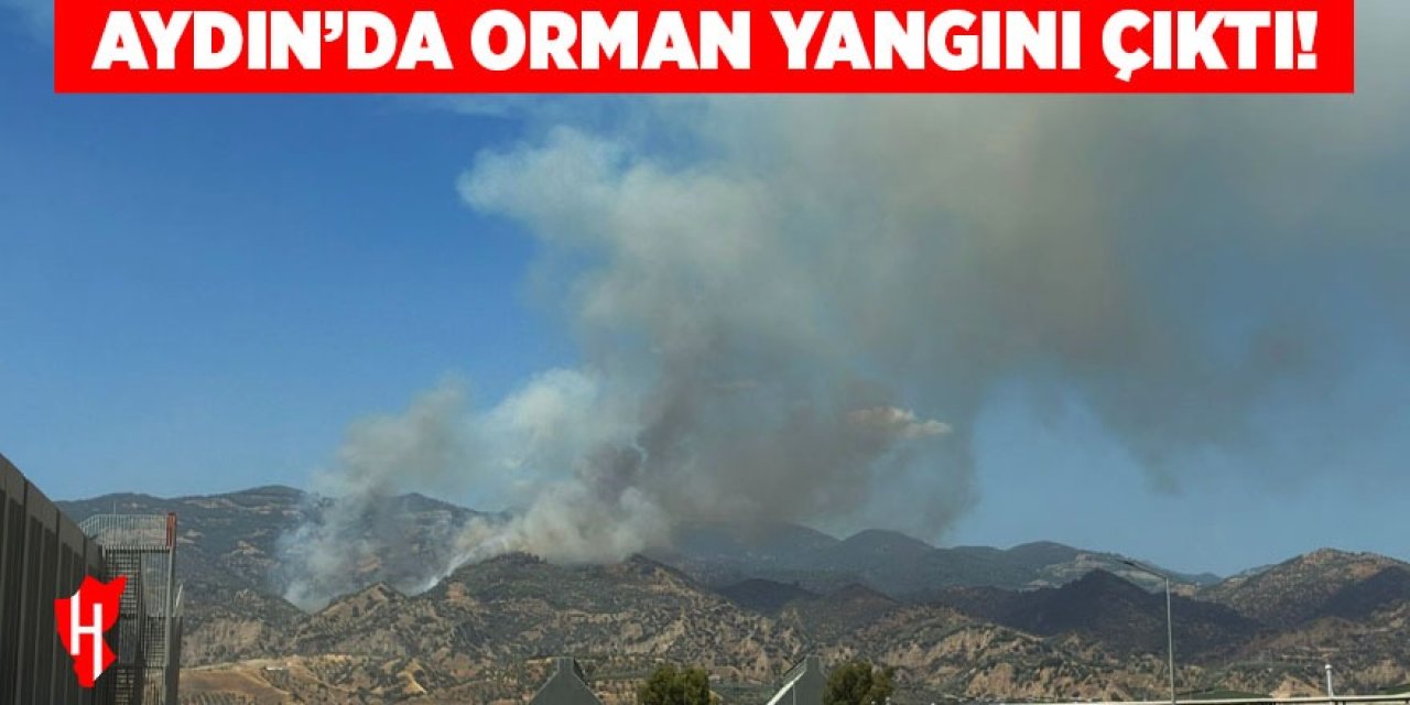 Aydın'da orman yangını!