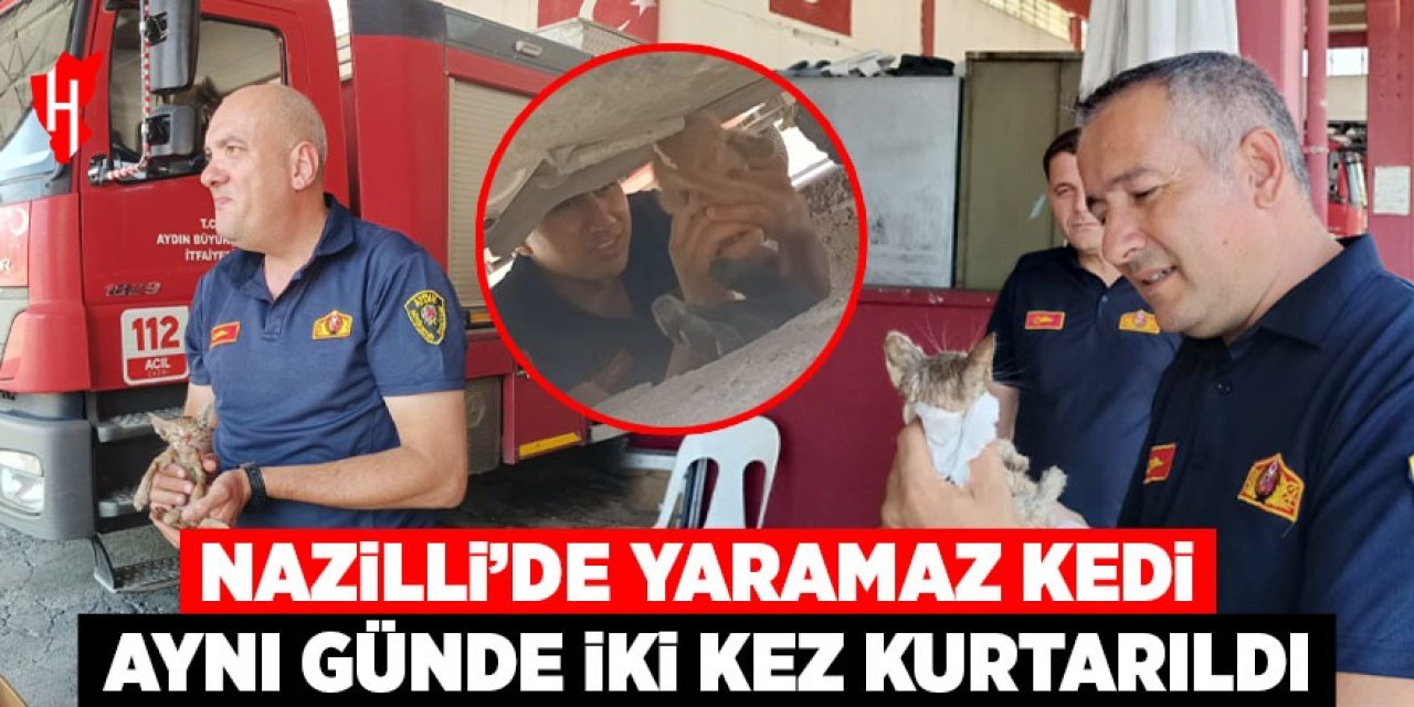 Nazilli’de kedi kurtarma operasyonu: 2. kez araç altından kurtarıldı