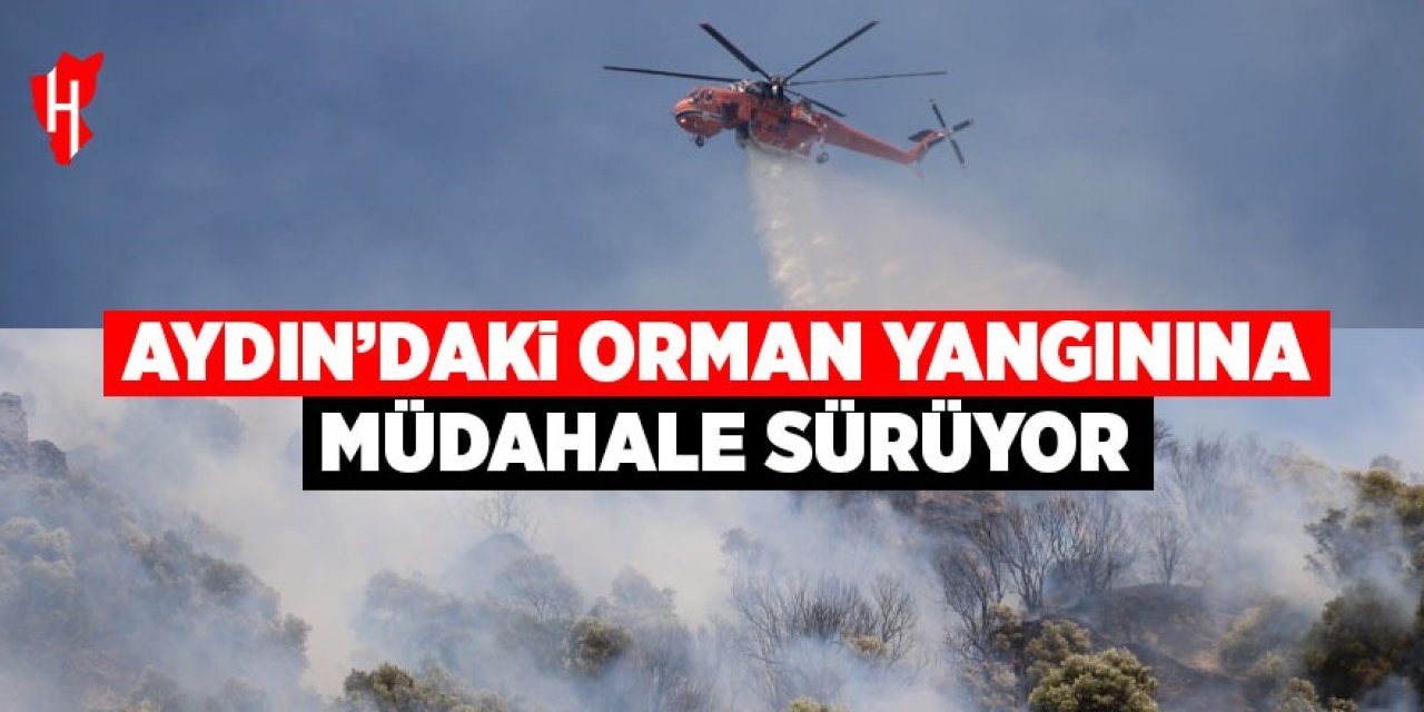 Aydın'daki orman yangınına müdahale sürüyor