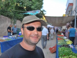 Cengo ile Cengaverin Samimiyeti Görenleri Şaşırtıyor