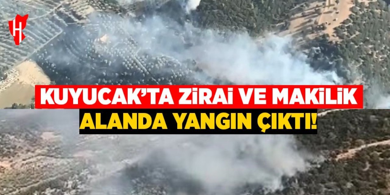 Kuyucak'ta yangın çıktı!
