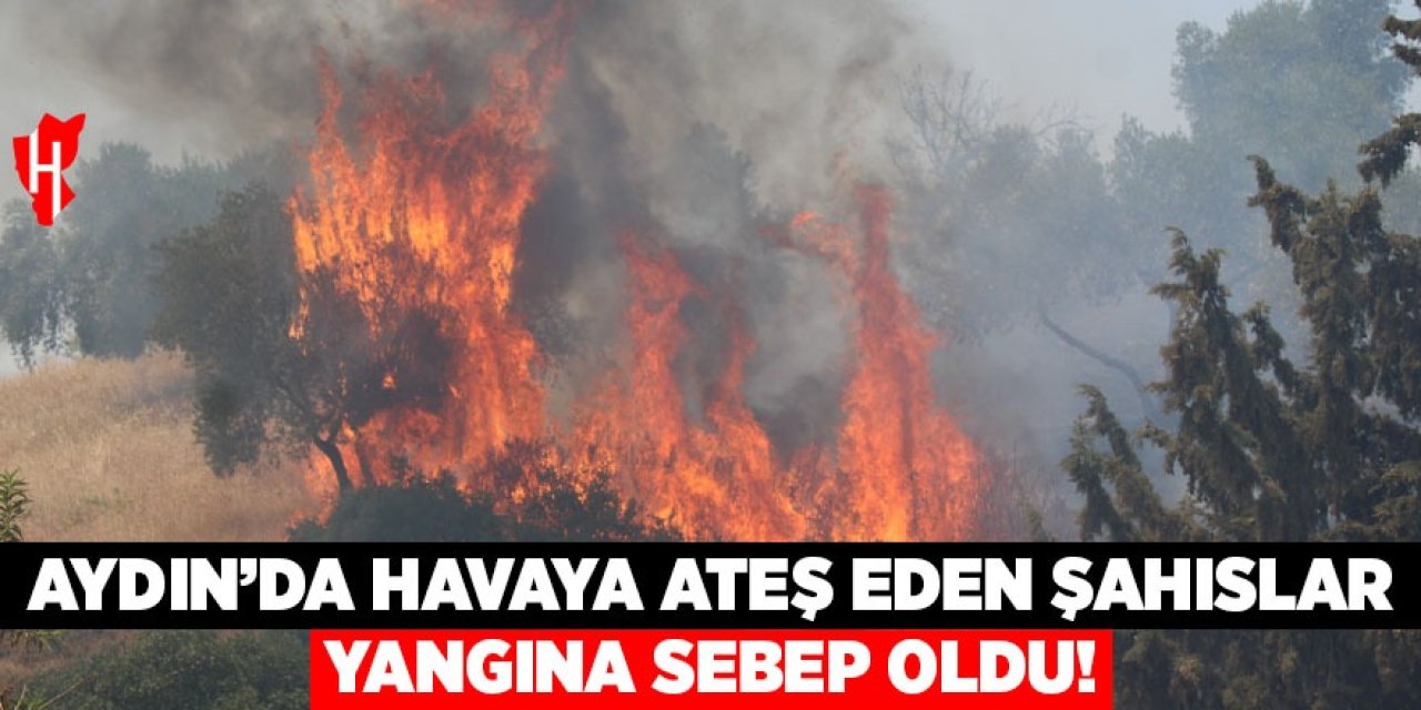 Aydın'da havaya ateş açan şahıslar yangına sebep oldu!