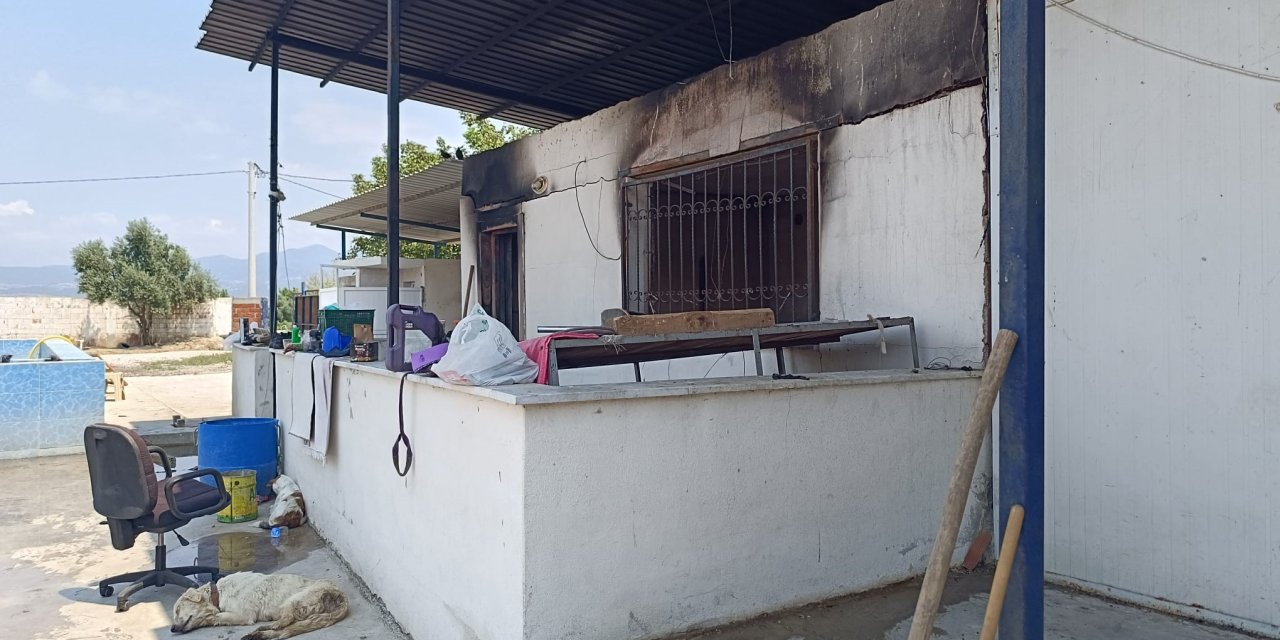 Yanan çiftlik evinden ceset çıktı