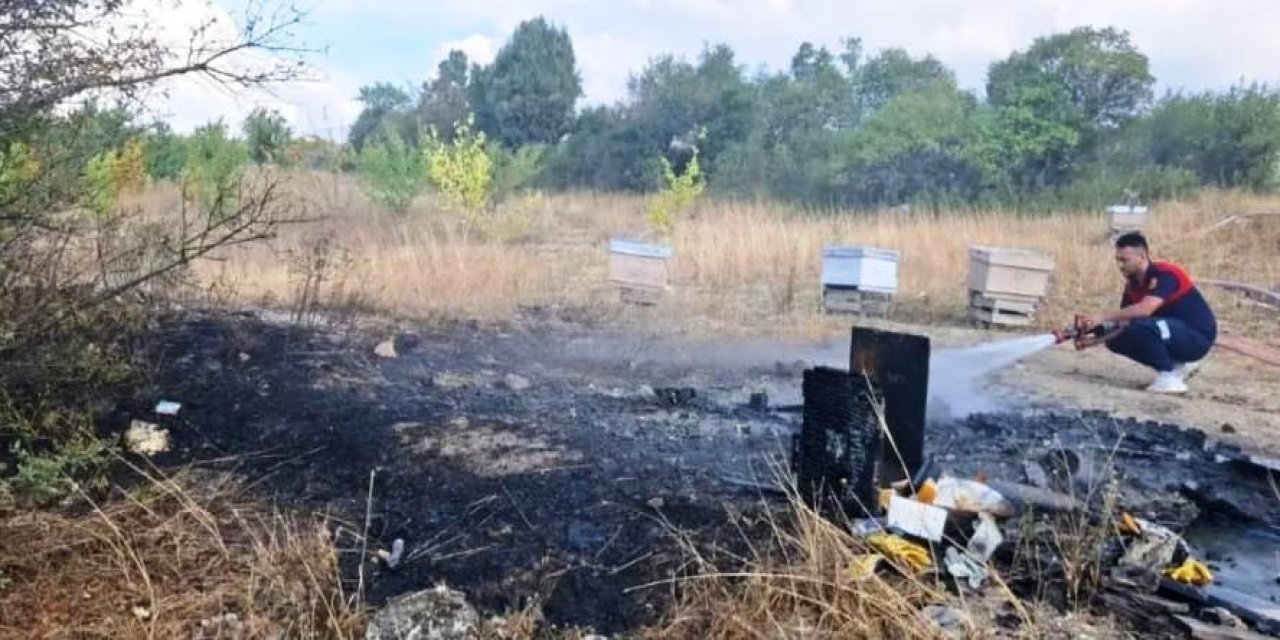 Arazi yangınında 7 arı kovanı kül oldu