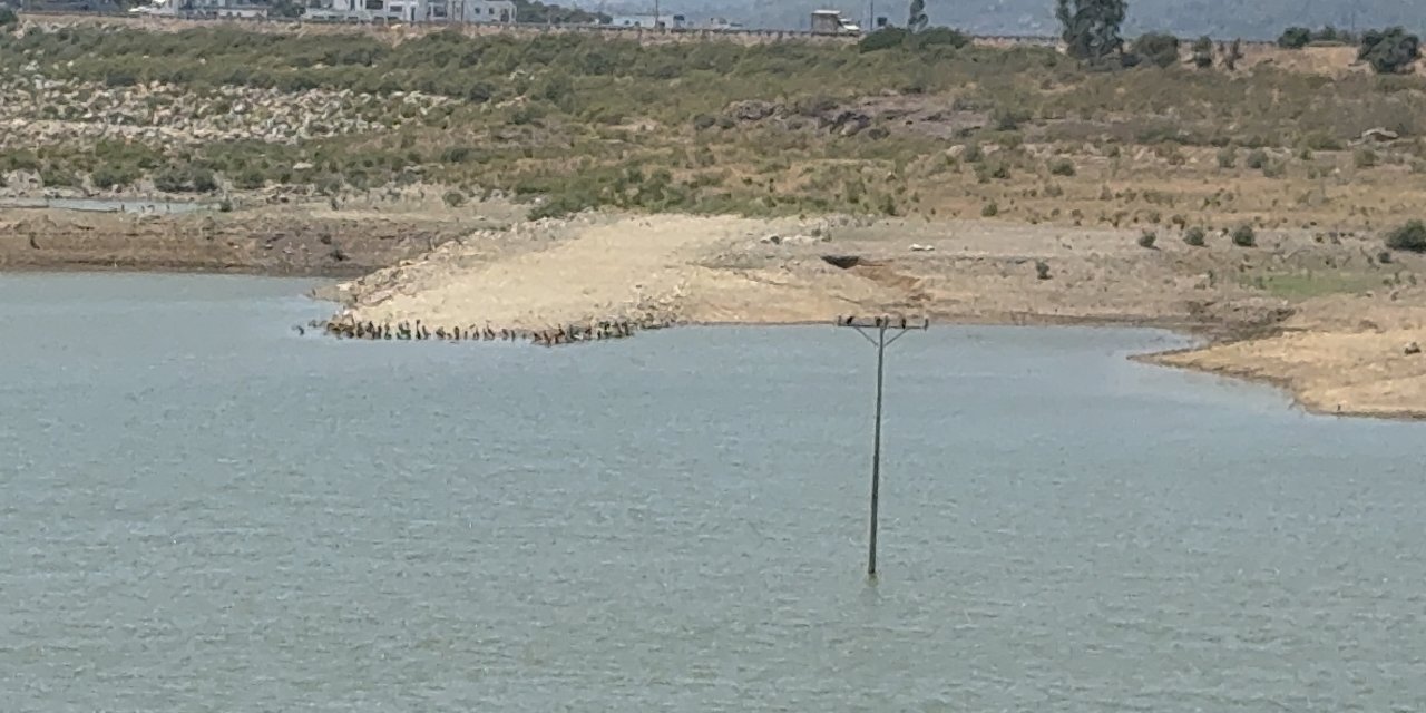 O ilçede su alarmı: "Barajlar kritik seviyeye geriledi"