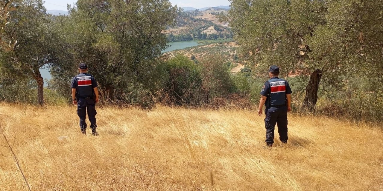 Aydın’da ormanlar yangınlara karşı gözetim altında