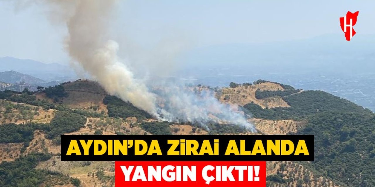 Aydın'da zirai alanda yangın çıktı!