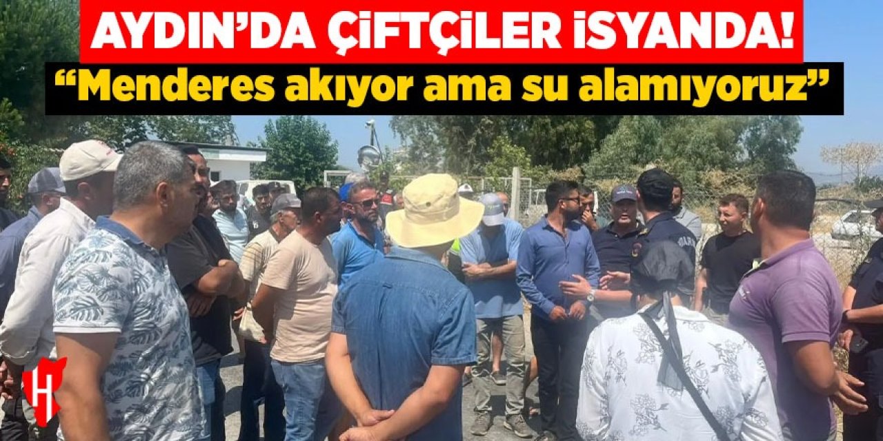 Aydın'da çiftçiler isyanda!