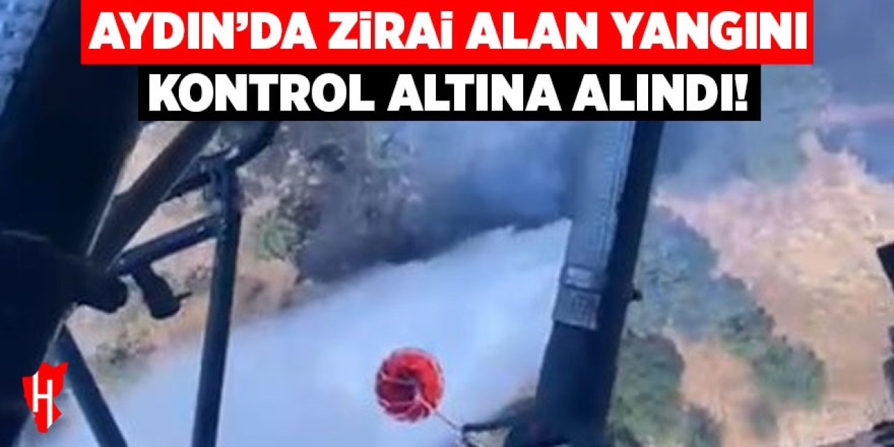 Aydın'da zirai alan yangını kontrol altına alındı