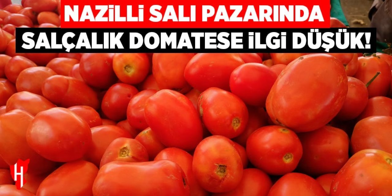 Nazilli Salı Pazarı’nda salçalık domatese ilgi düşük kaldı