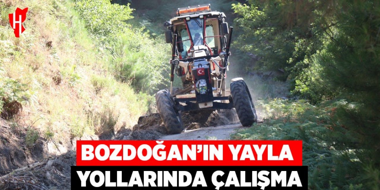 Bozdoğan’da yayla yollarında çalışma başlatıldı