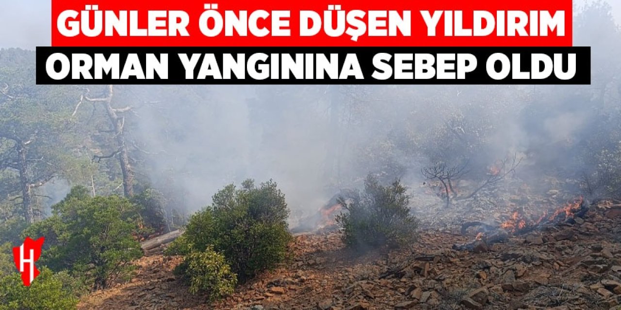 Günler önce düşen yıldırım orman yangınına sebep oldu