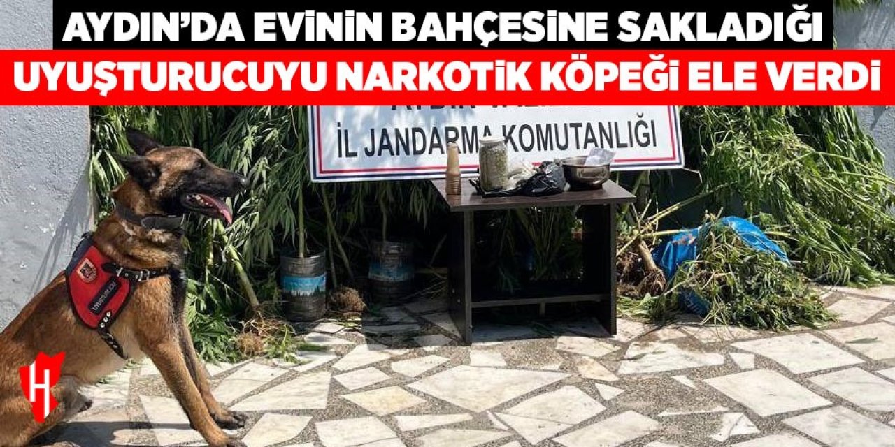 Aydın'da bir şüpheli narkotik köpeğinden kaçamadı