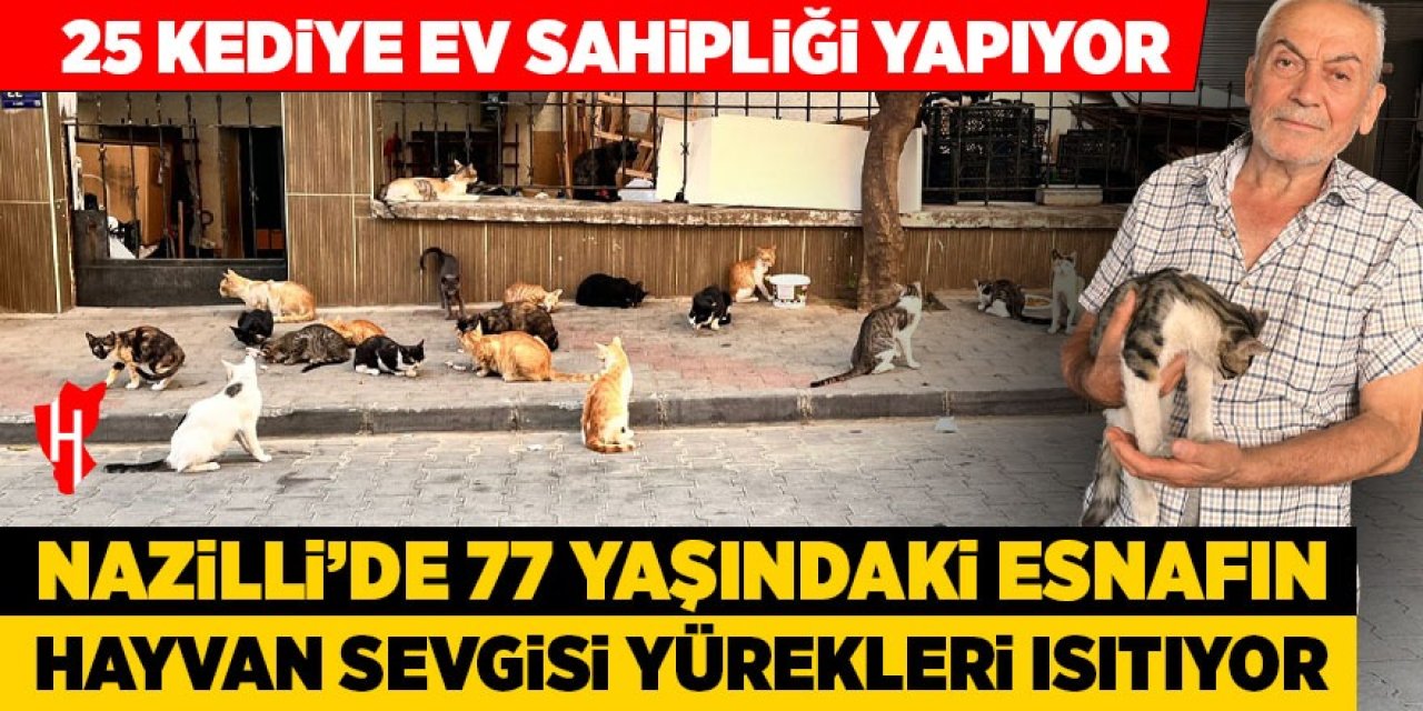 Nazilli’de 77 yaşındaki esnafın hayvan sevgisi yürekleri ısıtıyor: 25 kediye ev sahipliği yapıyor