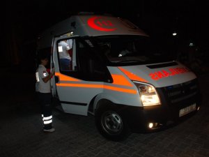 Didim’de Sokak Köpekleri Genç Kıza Saldırdı