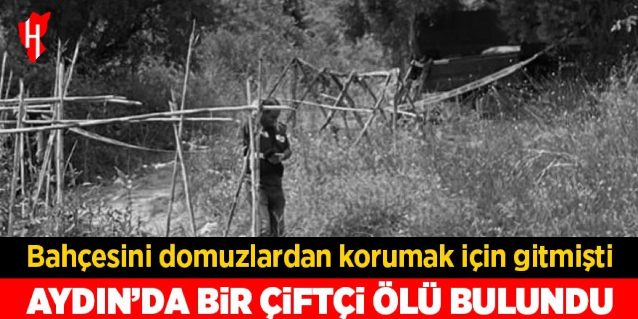 Aydın'da bir çiftçi bahçesinde ölü bulundu