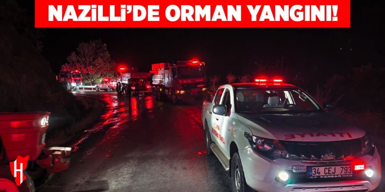 Nazilli'de orman yangını!