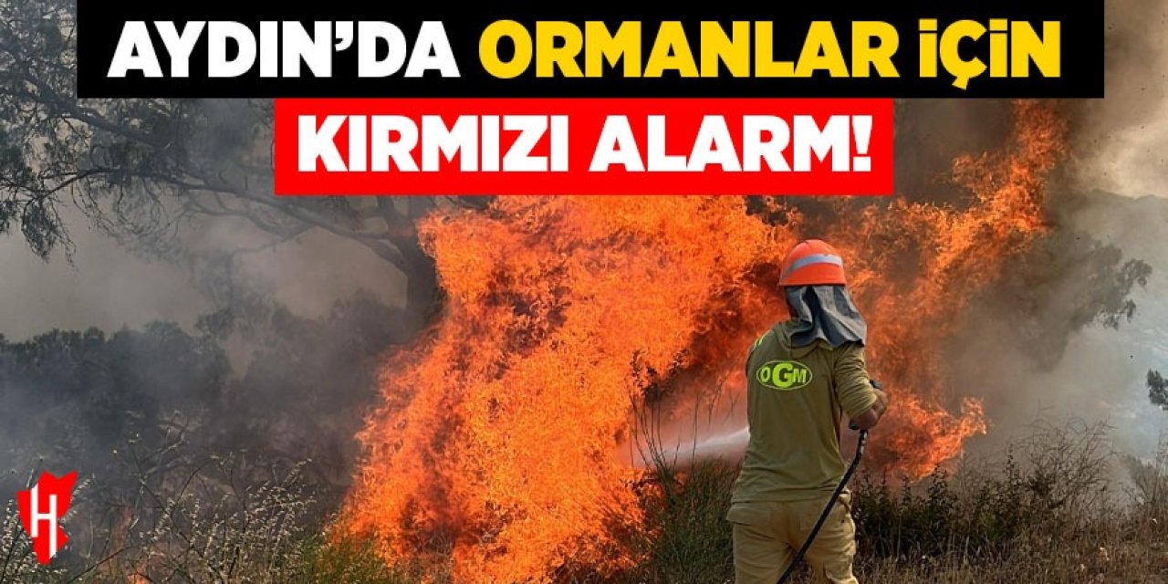 Aydın’da ormanlar için kırmızı alarm