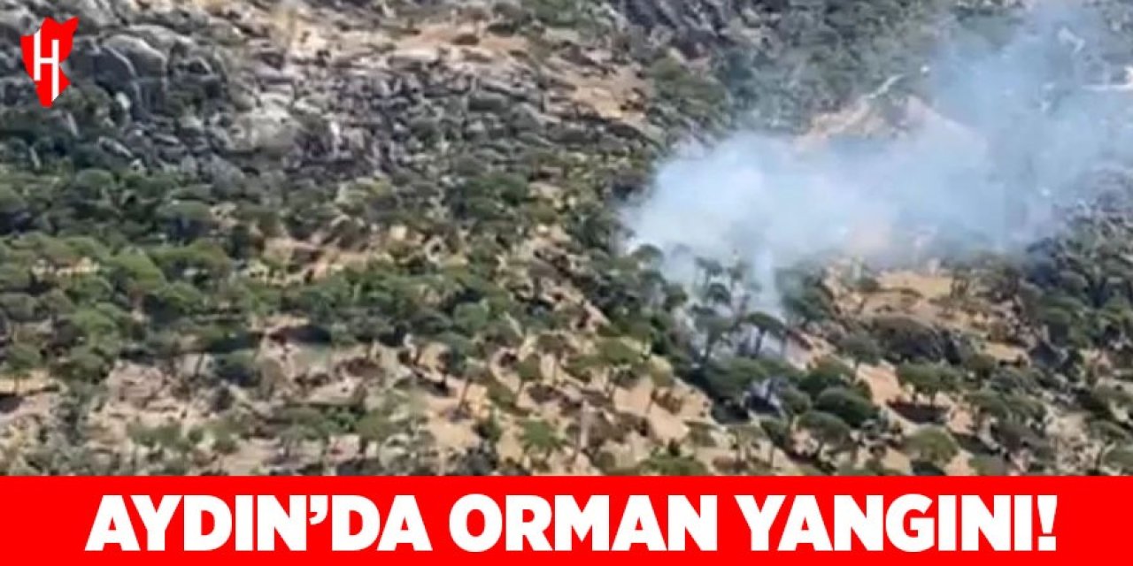 Aydın'da orman yangını: Ekipler müdahale ediyor