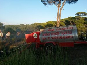 Söke'de Köylülerin Duyarlılığı Yangın Faciasını Önledi