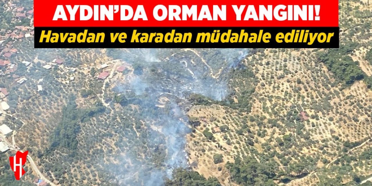 Aydın'da orman yangını