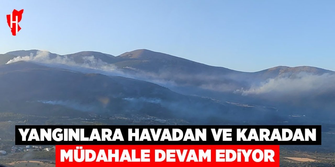 Yangınlara havadan ve karadan müdahale ediliyor