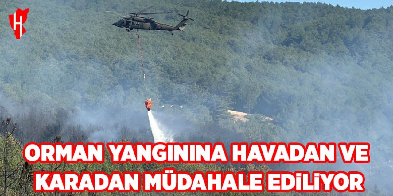 Orman yangınına havadan ve karadan müdahale ediliyor