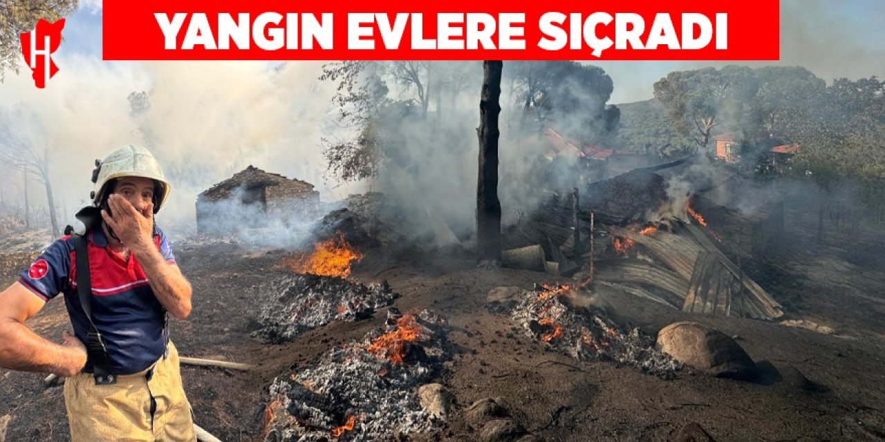 Orman yangını evlere sıçradı