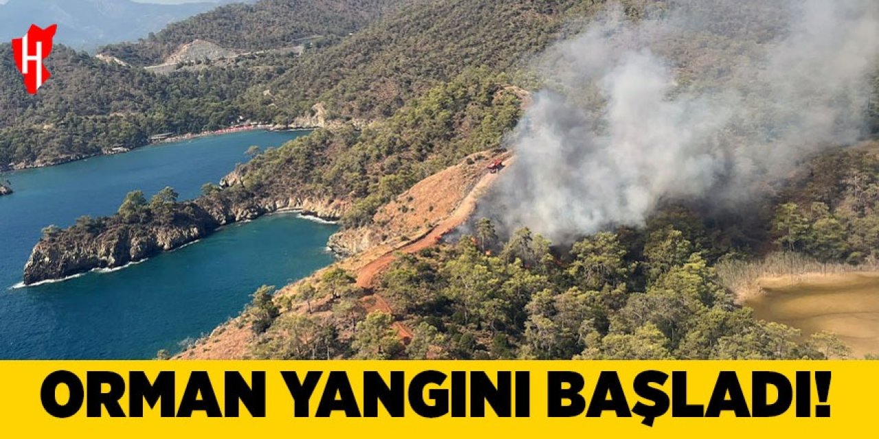 Orman yangınına havadan ve karadan müdahale ediliyor