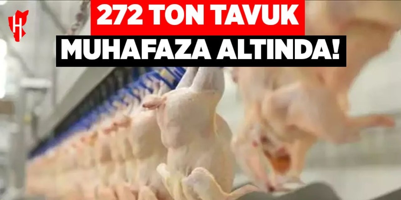 272 ton tavuk muhafaza altında!