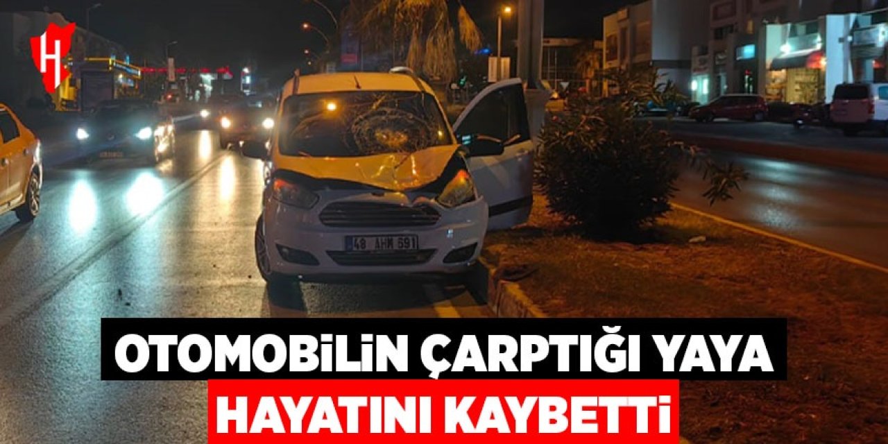 Otomobilin çarptığı yaya hayatını kaybetti