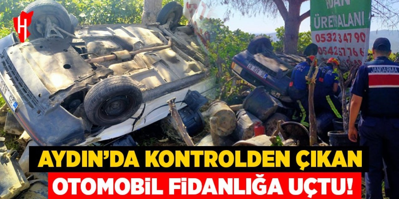 Aydın'da kontrolden çıkan otomobil fidanlığa uçtu: Sürücü yaralı